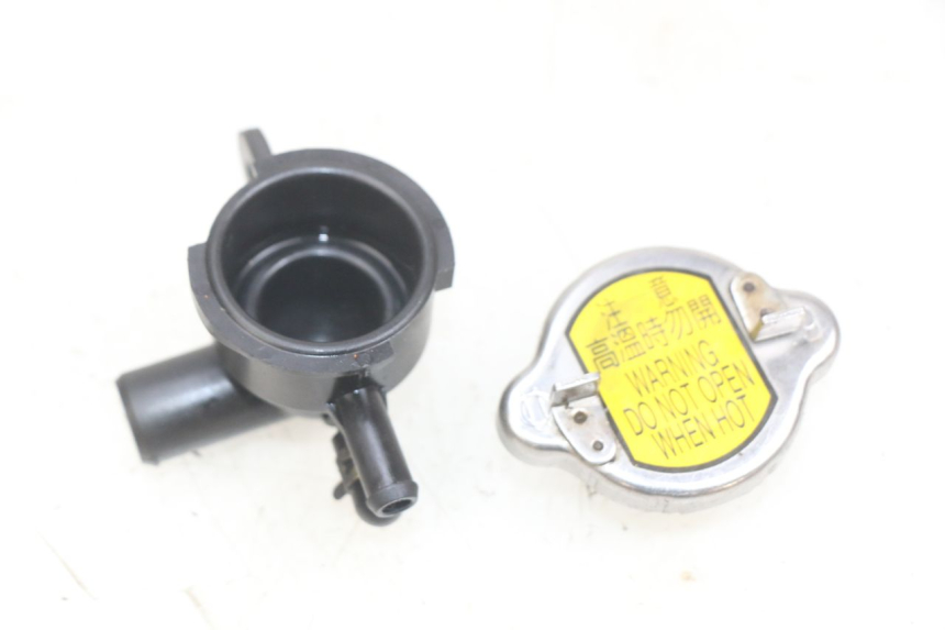 photo de TAPA DEL RADIADOR SYM GTS EFI 125 (2012 - 2016)
