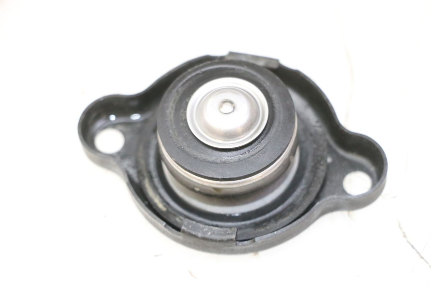 photo de TAPA DEL RADIADOR YAMAHA TDM ABS 900 (2002 - 2014)