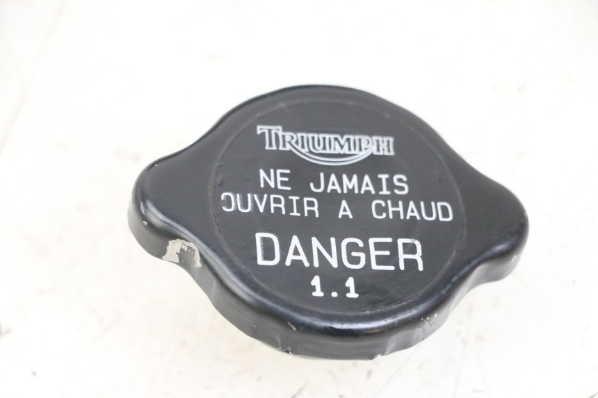 photo de TAPA DEL RADIADOR TRIUMPH SPEED TRIPLE T301 900 (1994 - 1996)