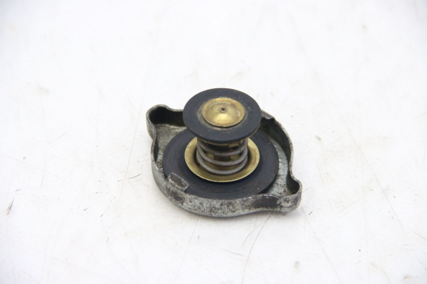 photo de TAPA DEL RADIADOR PEUGEOT XP6 50 (1997 - 2003)