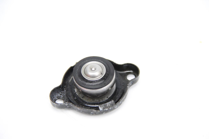 photo de TAPA DEL RADIADOR YAMAHA TDM ABS 900 (2002 - 2014)