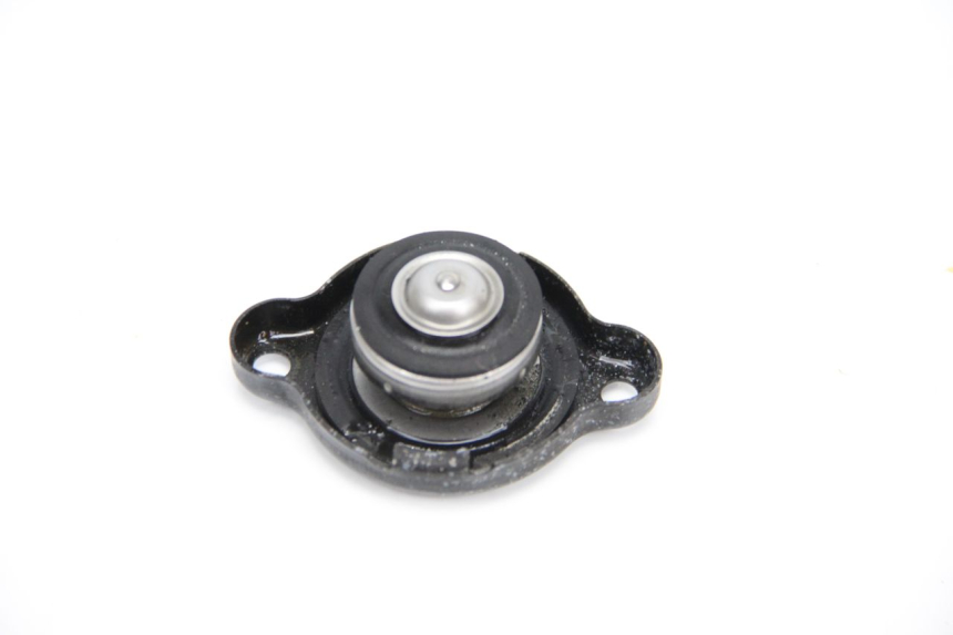 photo de TAPA DEL RADIADOR YAMAHA TDM ABS 900 (2002 - 2014)