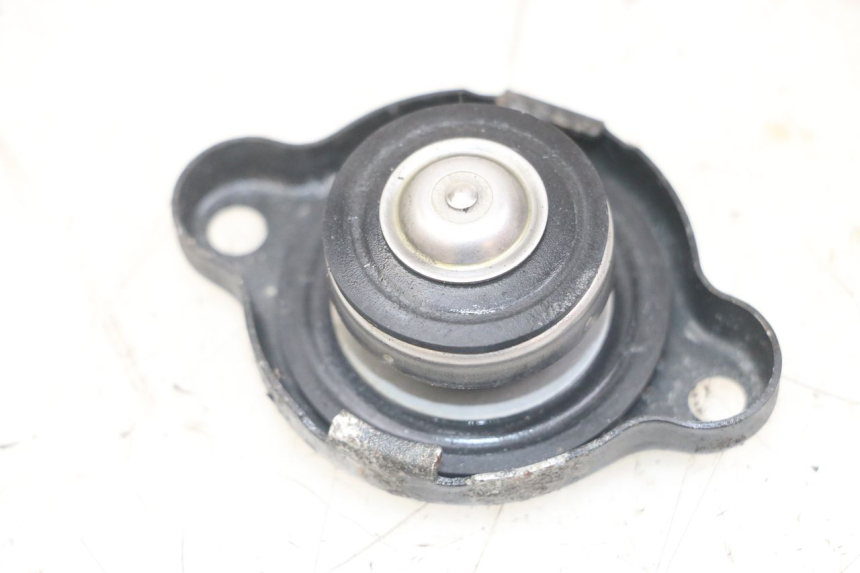 photo de TAPA DEL RADIADOR YAMAHA TDM ABS 900 (2002 - 2014)