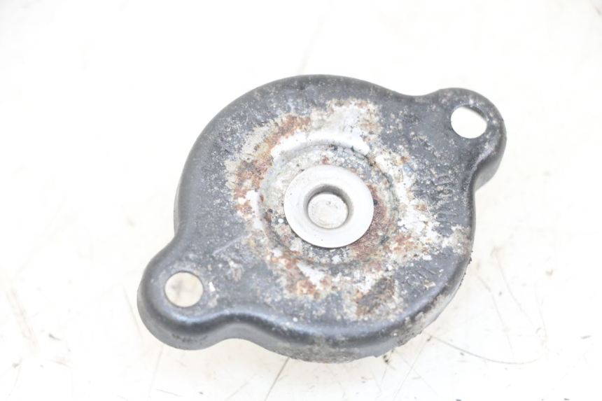 photo de TAPA DEL RADIADOR YAMAHA TDM ABS 900 (2002 - 2014)