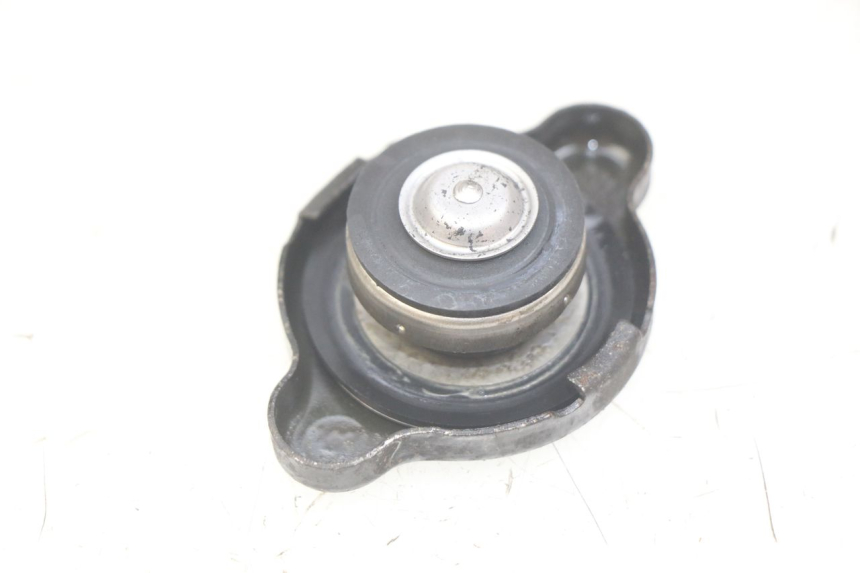photo de TAPA DEL RADIADOR YAMAHA YP MAJESTY 400 (2004 - 2008)