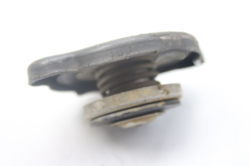 photo de TAPA DEL RADIADOR YAMAHA YZ 80 (1982 - 1983)