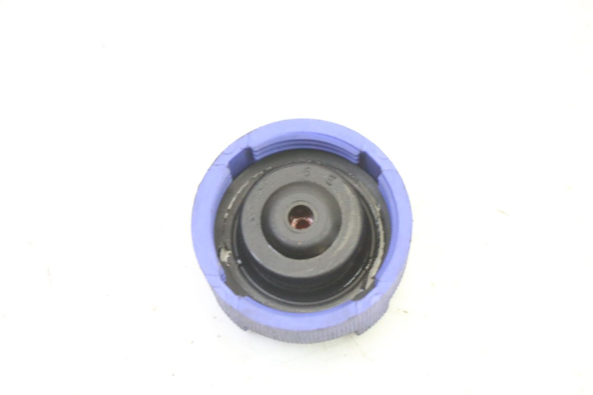 photo de BOTELLA EXPANSION TAPON PEUGEOT SATELIS 250 (2006 - 2012)