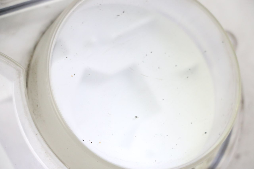 photo de VELOCIMETRO VASO PEUGEOT SATELIS 250 (2006 - 2012)