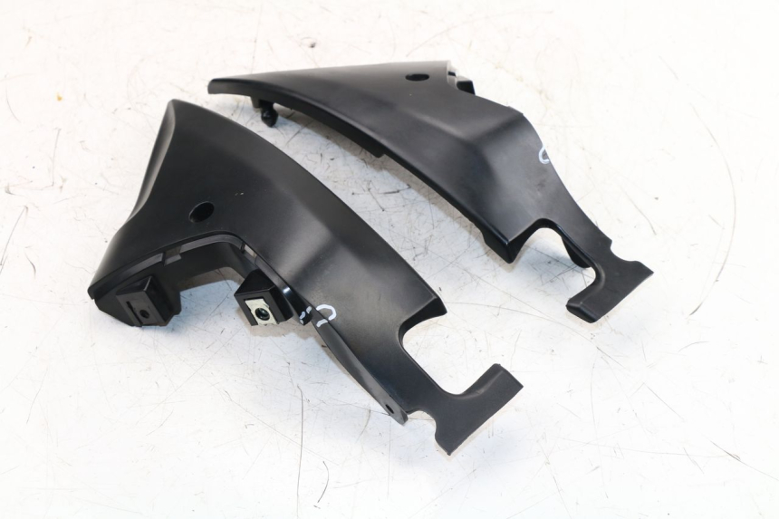 photo de CUBIERTA LATERAL DEL CHASIS DAELIM VJ ROADWIN FI 125 (2008 - 2017)