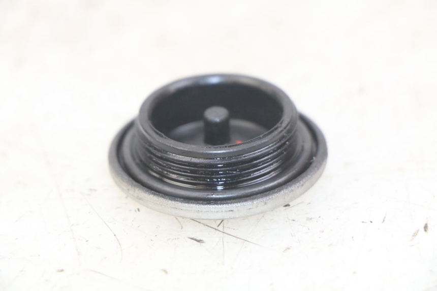photo de CUBIERTA CHASIS LATERAL DERECHO YAMAHA SR 125 (1982 - 2003)