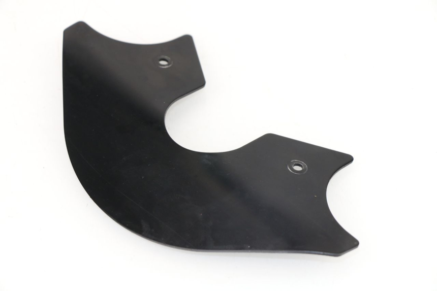 photo de CARENADO HORQUILLA DUCATI MONSTER IE M695 695 (2006 - 2007)