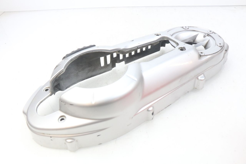 photo de CáRTER DEL MOTOR PEUGEOT GEOPOLIS 400 (2007 - 2013)