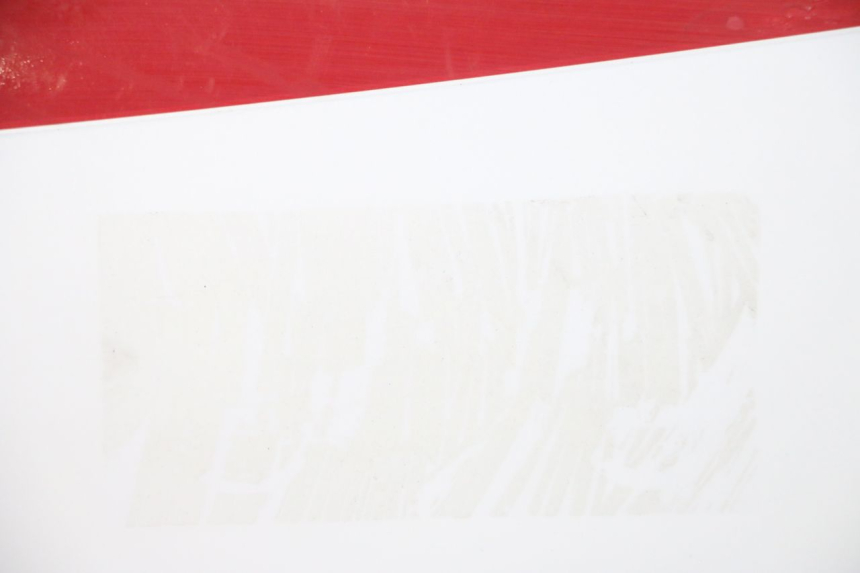 photo de TAPA BAJO ASIENTO DERECHO KAWASAKI GPX R WARBIRD 600 (1988 - 1993) - Zoom sobre los componentes