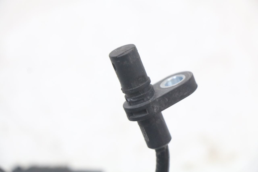 photo de SENSOR MASAI SCRAMBLER SPORT 125 (2021 - 2025)