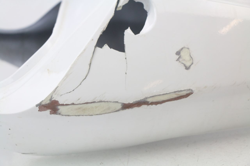 photo de CARENADO TRASERO HONDA CBR 929 RR FIREBLADE 900 (2000 - 2001)