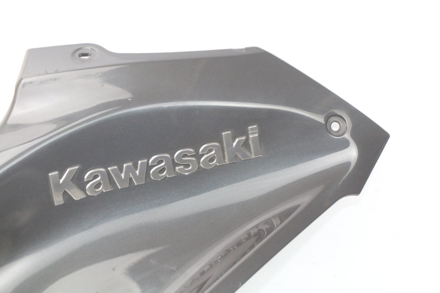 photo de TAPA DEPOSITO KAWASAKI Z Z900 900 (2017 - 2019)