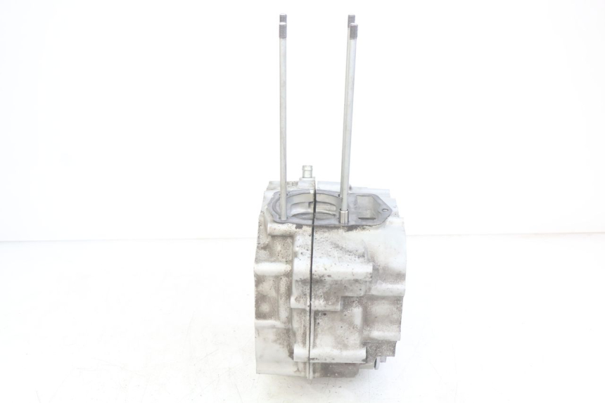photo de CÁRTER DE MOTOR INFERIOR DAELIM VJ ROADWIN FI 125 (2008 - 2017)
