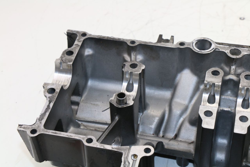 photo de CARTER SUZUKI GSX  INAZUMA 750 (1998 - 2003)
