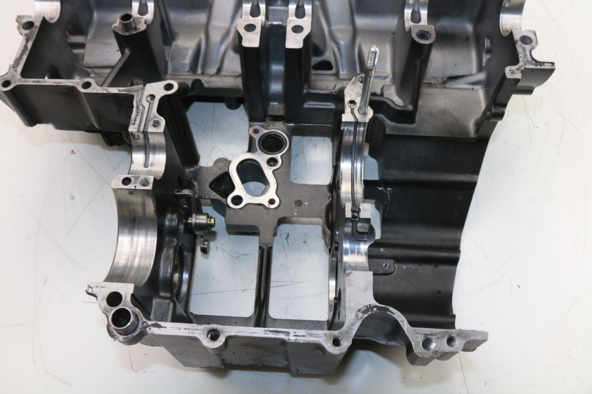 photo de CARTER SUZUKI GSX  INAZUMA 750 (1998 - 2003)