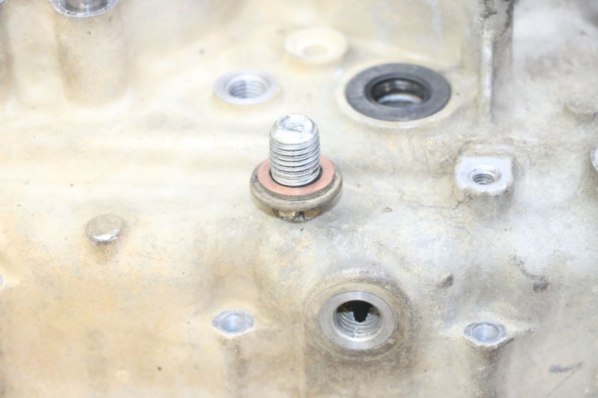 photo de CARTER YAMAHA YFM R RAPTOR 250 (2008 - 2014)