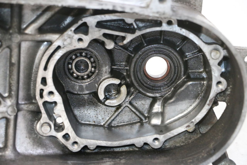 photo de CARTER IZQUIERDO PEUGEOT VIVACITY NEW 2T 50 (2008 - 2017)