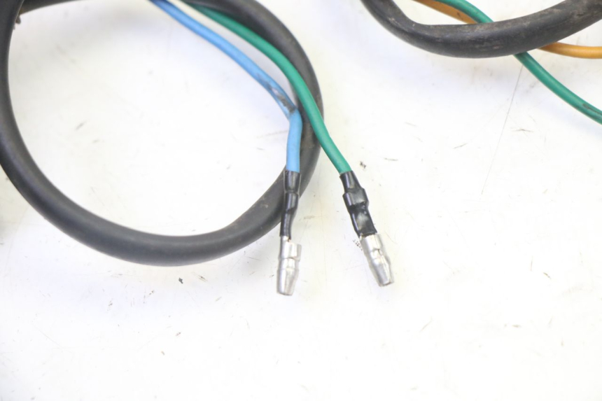 photo de TRASERO INTERMITENTE STAHO FH 50 (2018 - 2019)