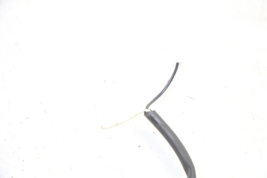 photo de DELANTERO DERECHO INTERMITENTE TRIUMPH SPRINT 900 (1995 - 1998)