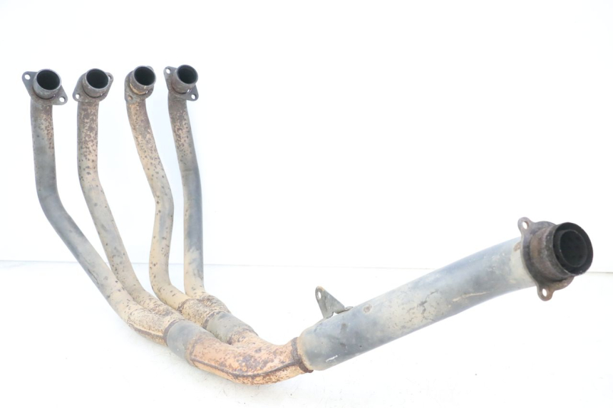 photo de COLECTOR HONDA CBR RR FIREBLADE 900 (1992 - 1994)