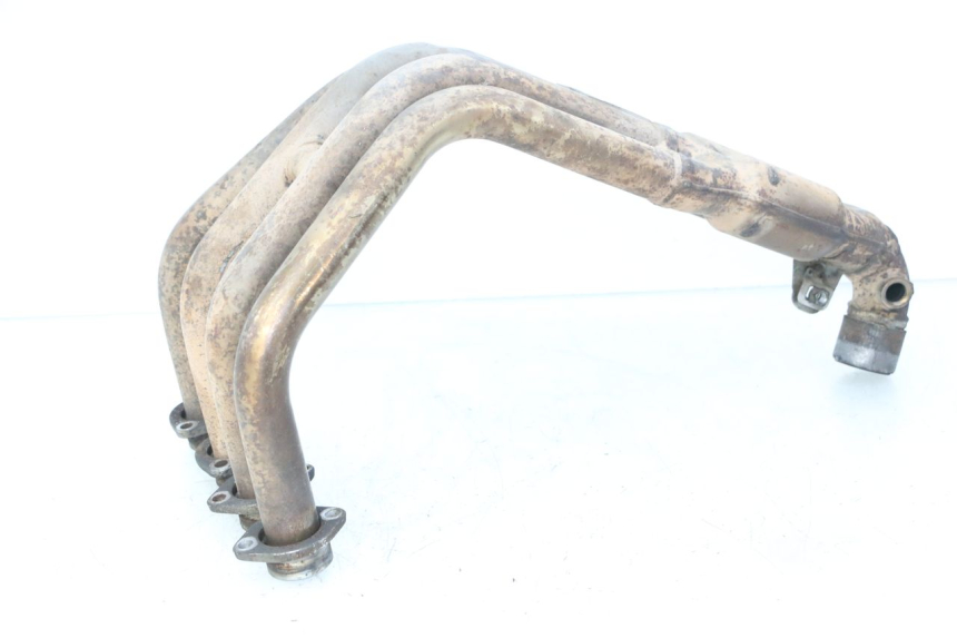 photo de COLECTOR YAMAHA FZ6 FAZER S2 600 (2007 - 2011)
