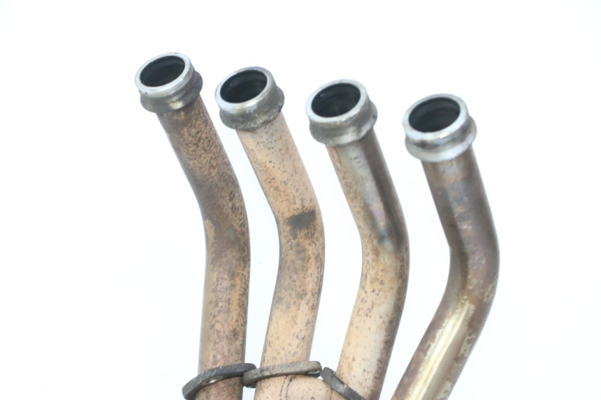 photo de COLECTOR YAMAHA FZ6 FAZER S2 600 (2007 - 2011)