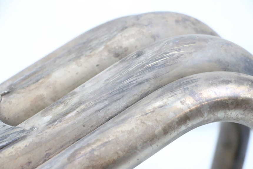 photo de COLECTOR YAMAHA FZ6 N FAZER 600 (2004 - 2006)