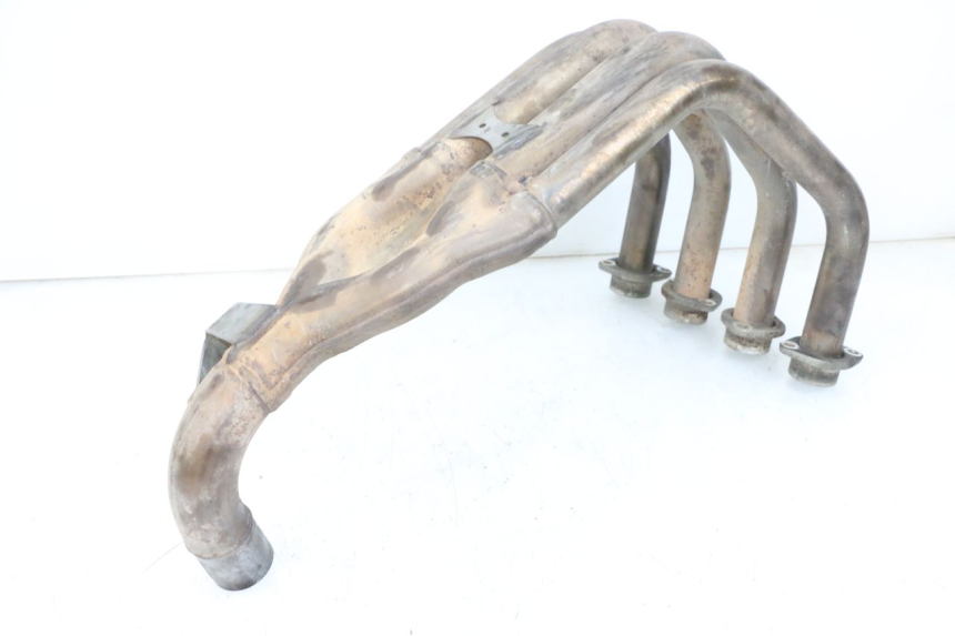 photo de COLECTOR YAMAHA FZ6 N FAZER 600 (2004 - 2006)