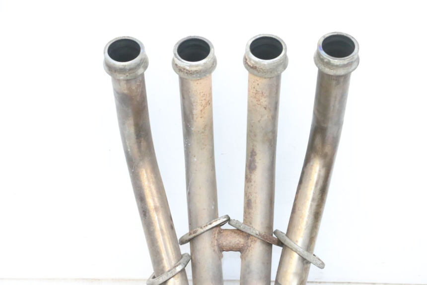 photo de COLECTOR YAMAHA FZ6 N FAZER 600 (2004 - 2006)