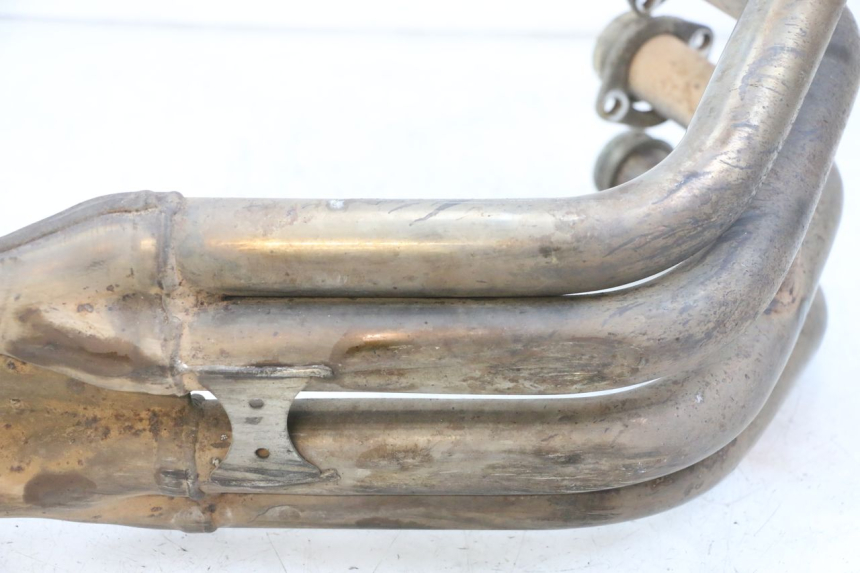 photo de COLECTOR YAMAHA FZ6 N FAZER 600 (2004 - 2006)