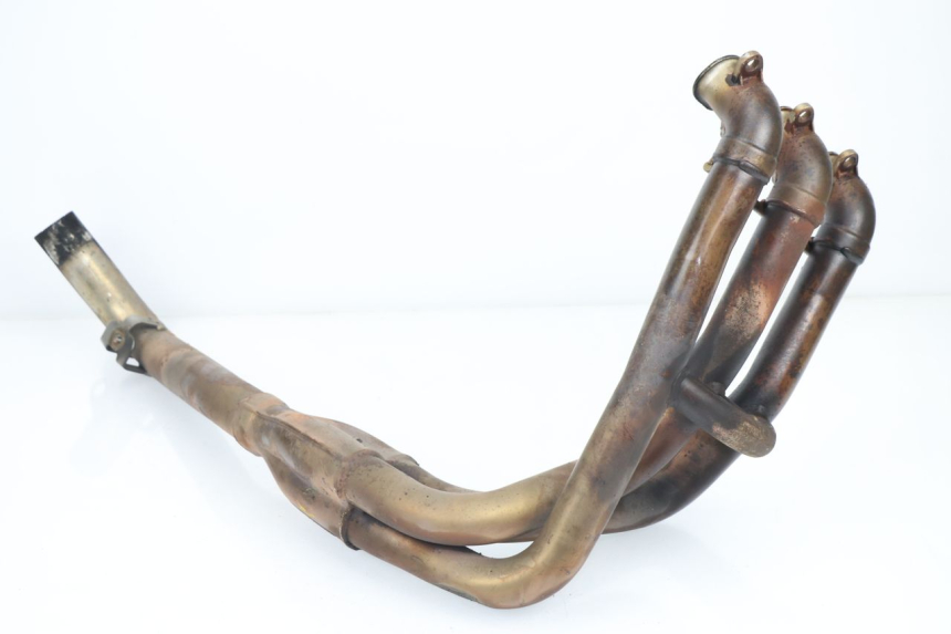 photo de COLECTOR TRIUMPH SPRINT RS 955 (2000 - 2001)