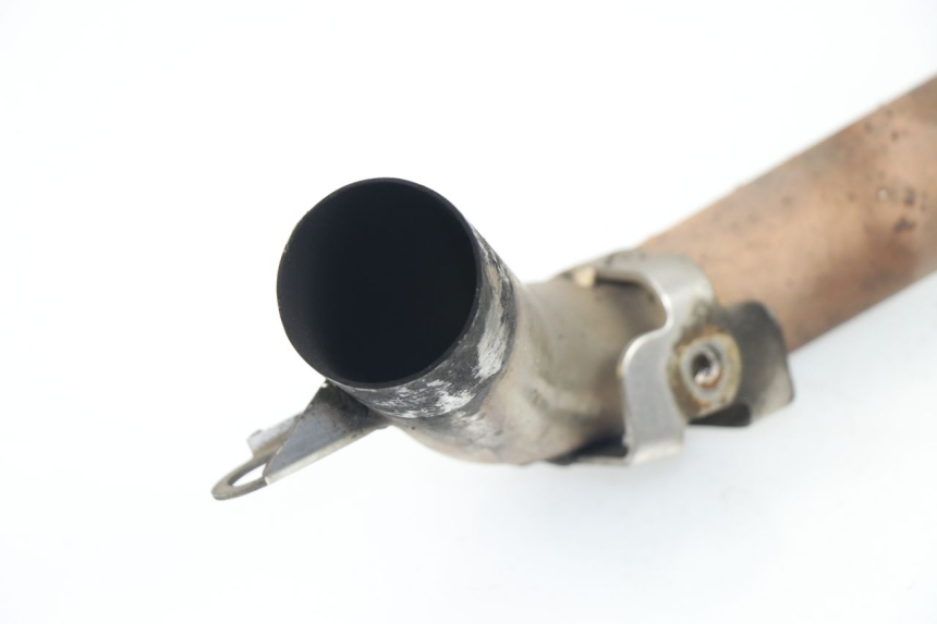 photo de COLECTOR TRIUMPH SPRINT RS 955 (2000 - 2001)