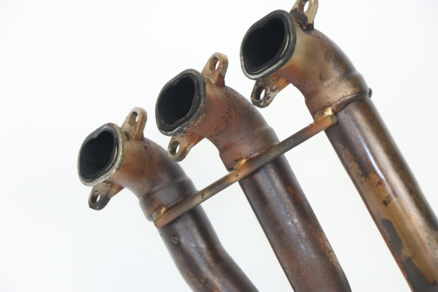 photo de COLECTOR TRIUMPH SPRINT RS 955 (2000 - 2001)