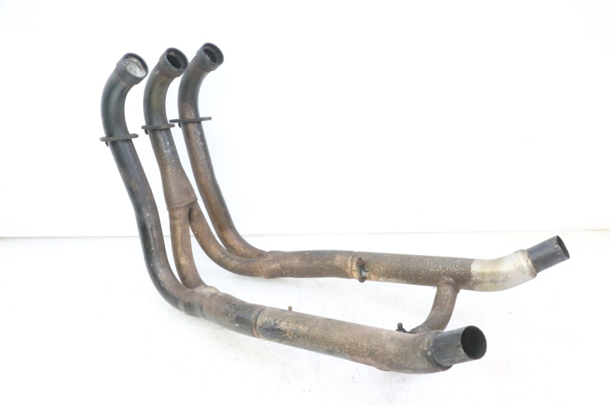 photo de COLECTOR TRIUMPH SPRINT 900 (1995 - 1998)