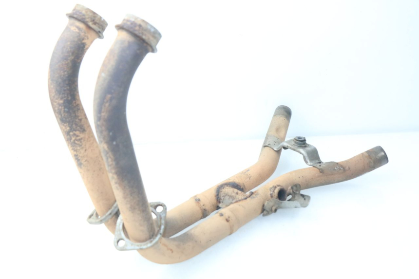 photo de COLECTOR YAMAHA TDM ABS 900 (2002 - 2014)