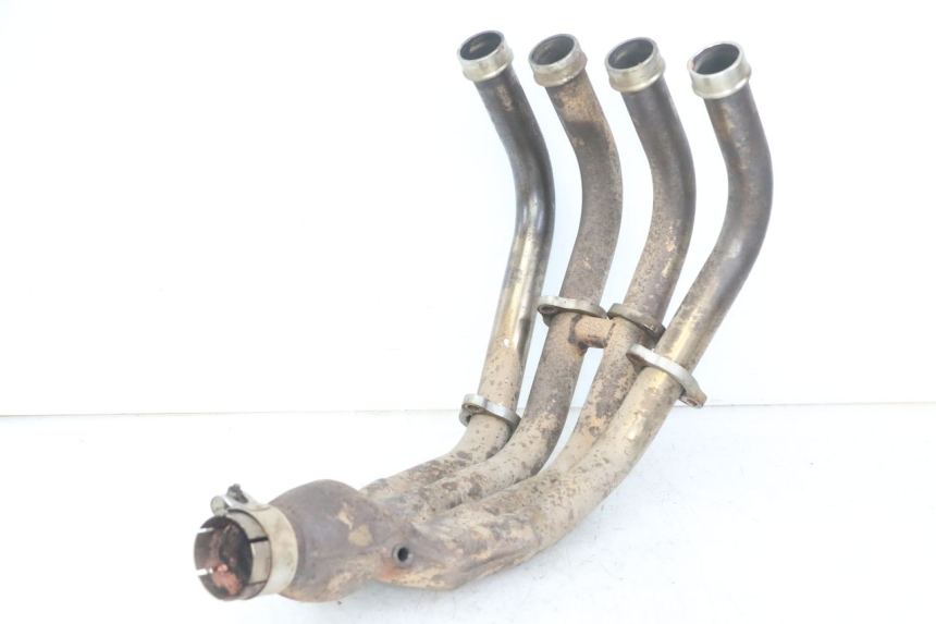 photo de COLECTOR YAMAHA XJ6 ABS 600 (2008 - 2016)