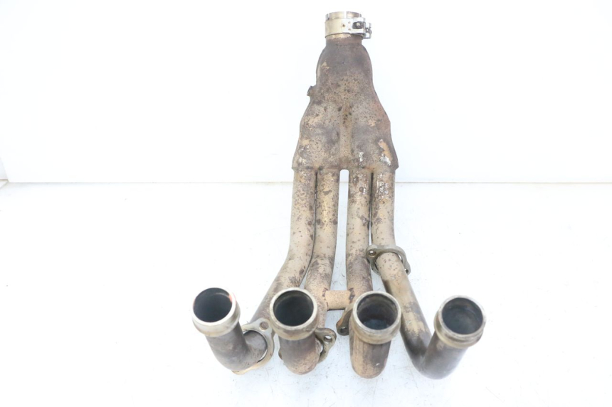 photo de COLECTOR YAMAHA XJ6 ABS 600 (2008 - 2016)