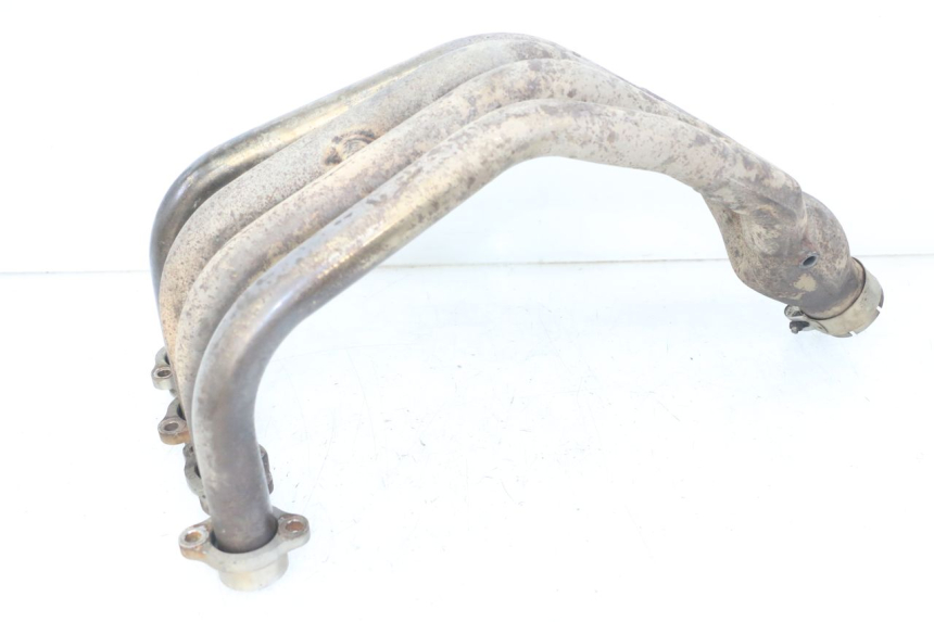 photo de COLECTOR YAMAHA XJ6 ABS 600 (2008 - 2016)