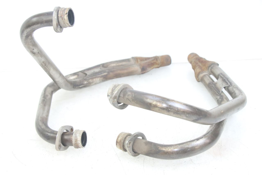 photo de COLECTOR YAMAHA XJN DIVERSION 600 (2000 - 2003)