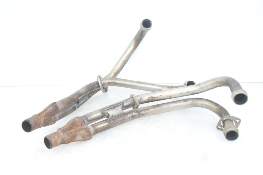 photo de COLECTOR YAMAHA XJN DIVERSION 600 (2000 - 2003)
