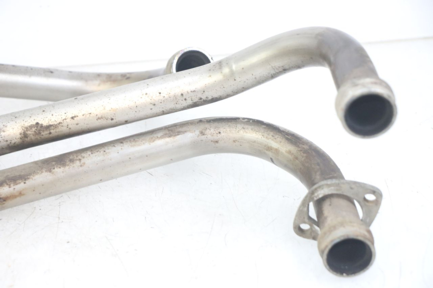 photo de COLECTOR YAMAHA XJN DIVERSION 600 (2000 - 2003)