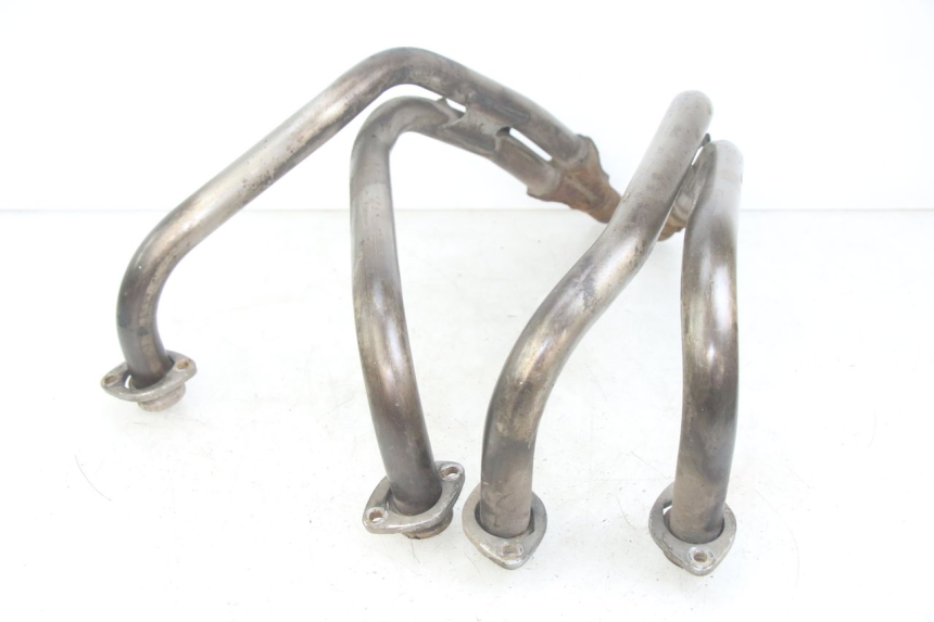 photo de COLECTOR YAMAHA XJN DIVERSION 600 (2000 - 2003)