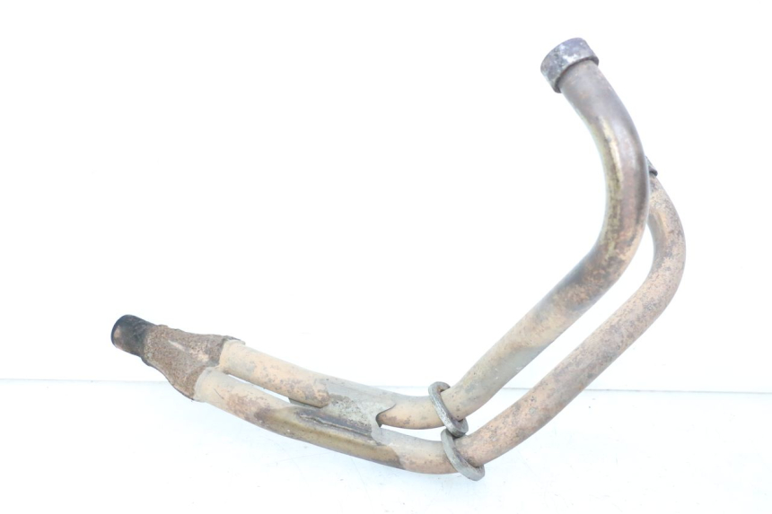 photo de COLECTOR YAMAHA XJN DIVERSION 600 (2000 - 2003)