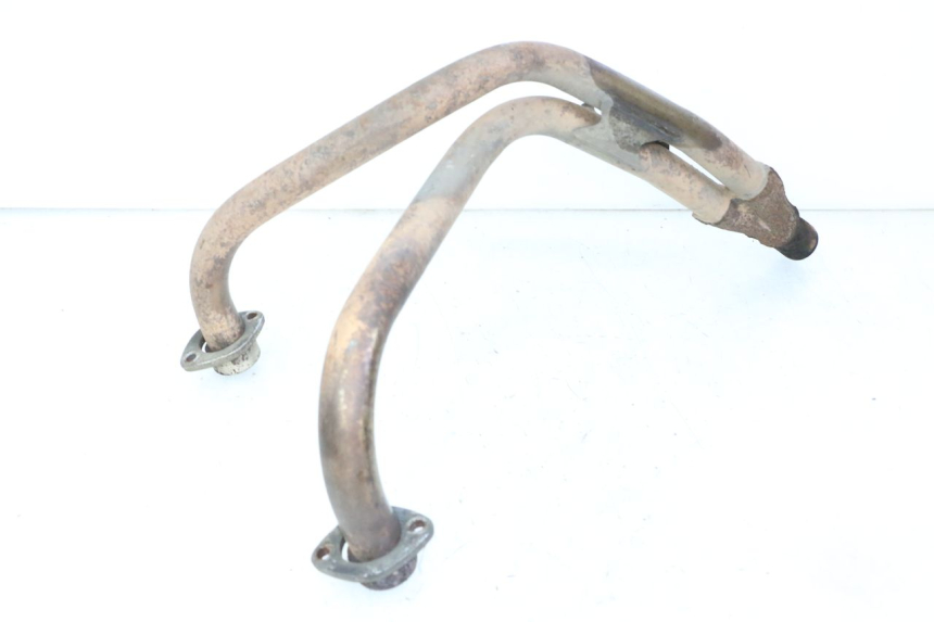 photo de COLECTOR YAMAHA XJN DIVERSION 600 (2000 - 2003)