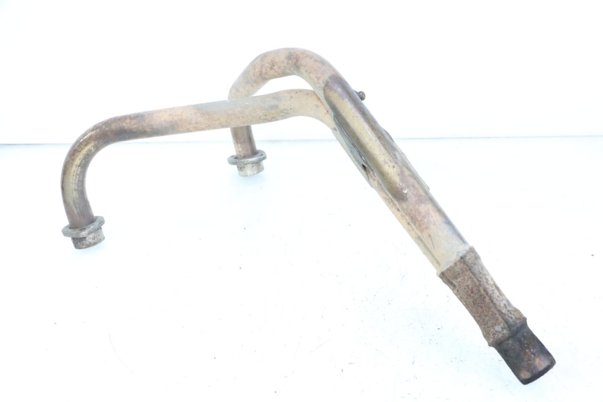 photo de COLECTOR YAMAHA XJN DIVERSION 600 (2000 - 2003)