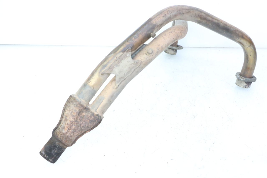 photo de COLECTOR YAMAHA XJN DIVERSION 600 (2000 - 2003)